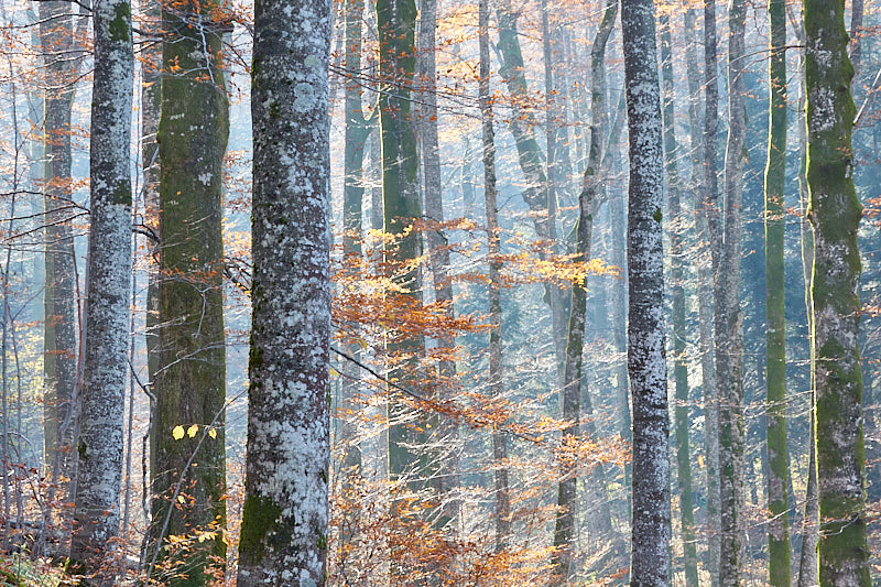 Plitvice Lakes National Park