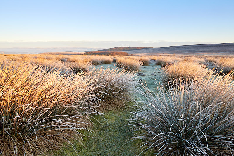 Derbyshire and The Peak District