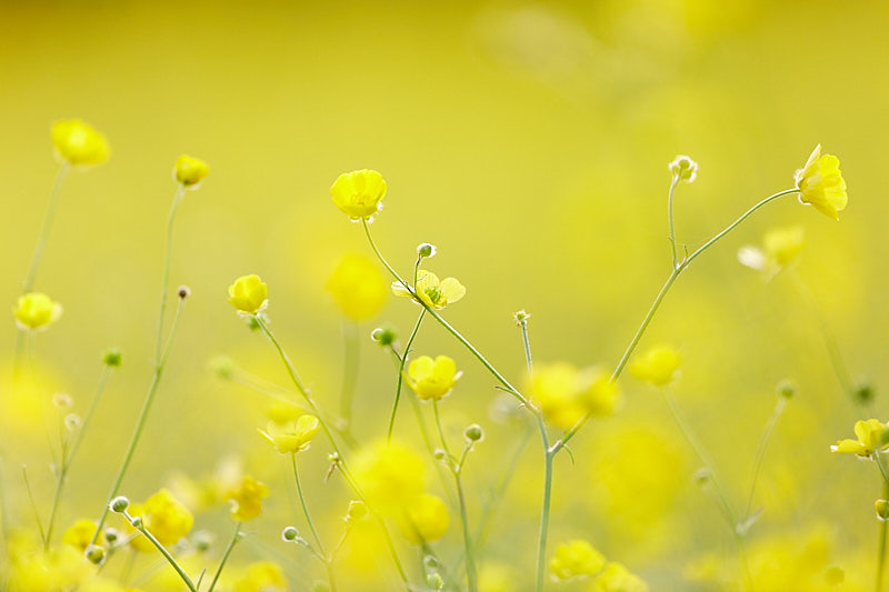 Derbyshire and The Peak District